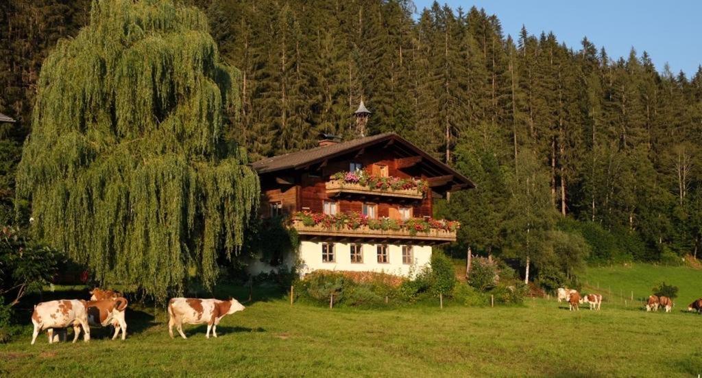 Ellmauhof Βίλα Pfarrwerfen Εξωτερικό φωτογραφία