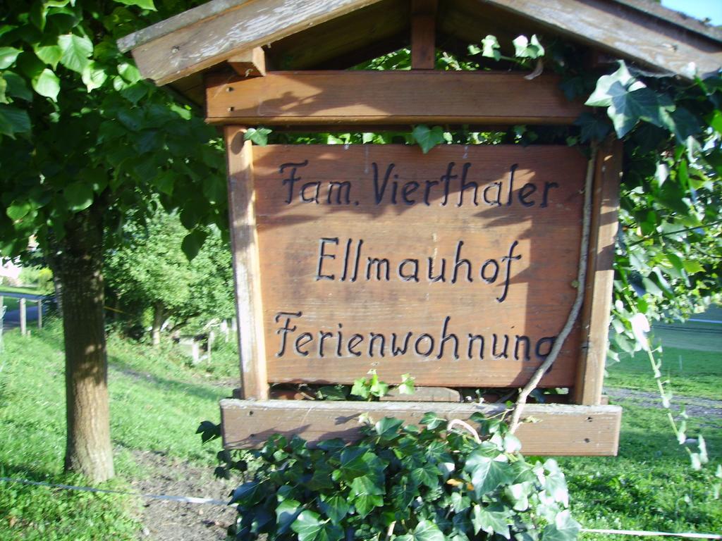 Ellmauhof Βίλα Pfarrwerfen Εξωτερικό φωτογραφία